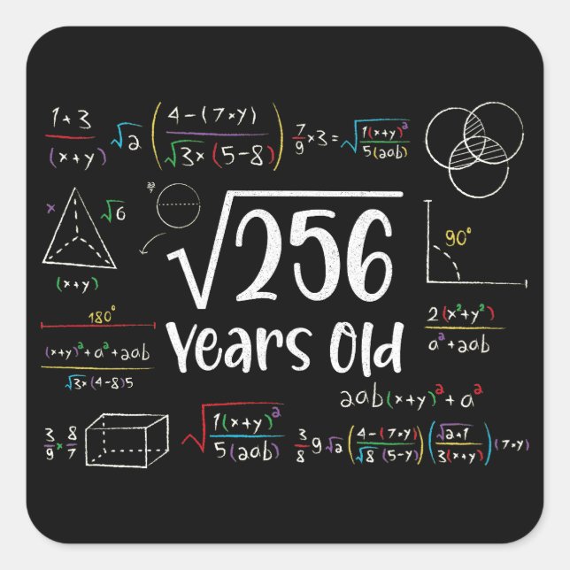 Sticker Carré Racine carré de 256 16e anniversaire Cadeaux de 16 (Devant)