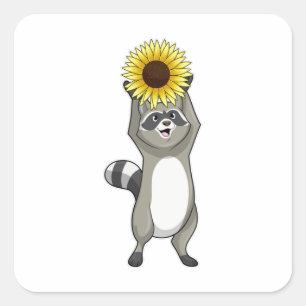 Sticker Carré Racoon avec tournesol