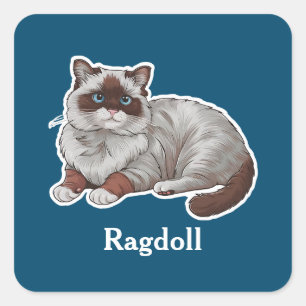 Sticker Carré Ragdoll