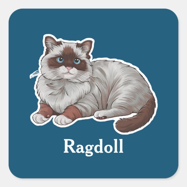 Sticker Carré Ragdoll (Devant)