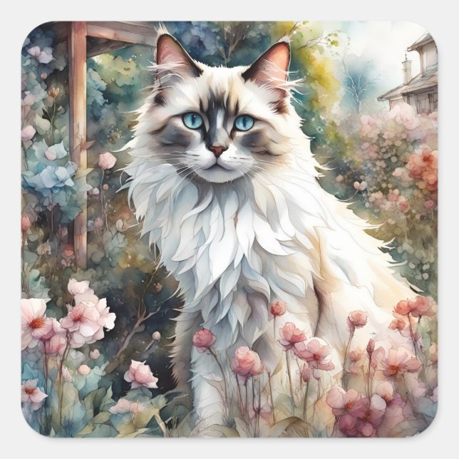 Sticker Carré Ragdoll Chat en anglais Garden (Devant)