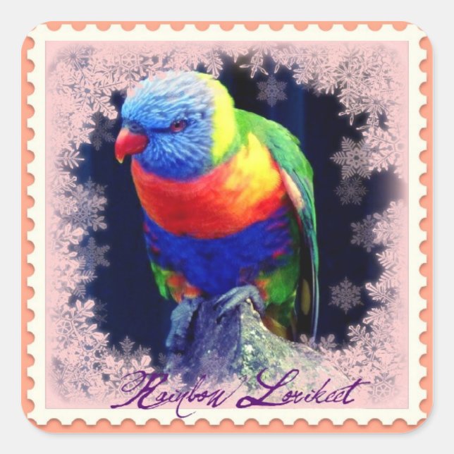 STICKER CARRÉ RAINBOW LORIKEET (Devant)