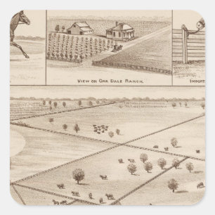Sticker Carré Ranch d'Oakdale