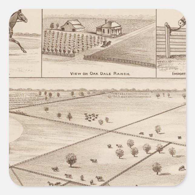 Sticker Carré Ranch Oakdale (Devant)