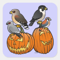 Rapaces Birdables sur les Citrouilles