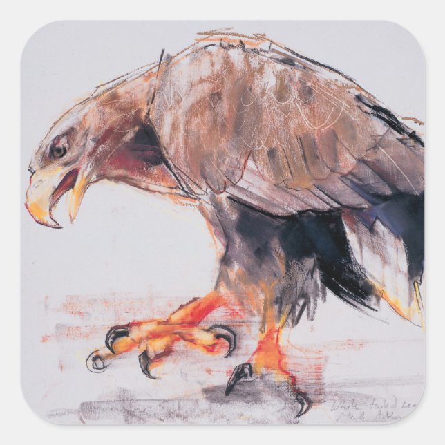 Sticker Carré Raptor 2001 (Devant)