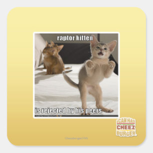 Sticker Carré Raptor Kitten
