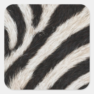 Sticker Carré Rayure de zèbre sauvage noir blanc faux fourrure