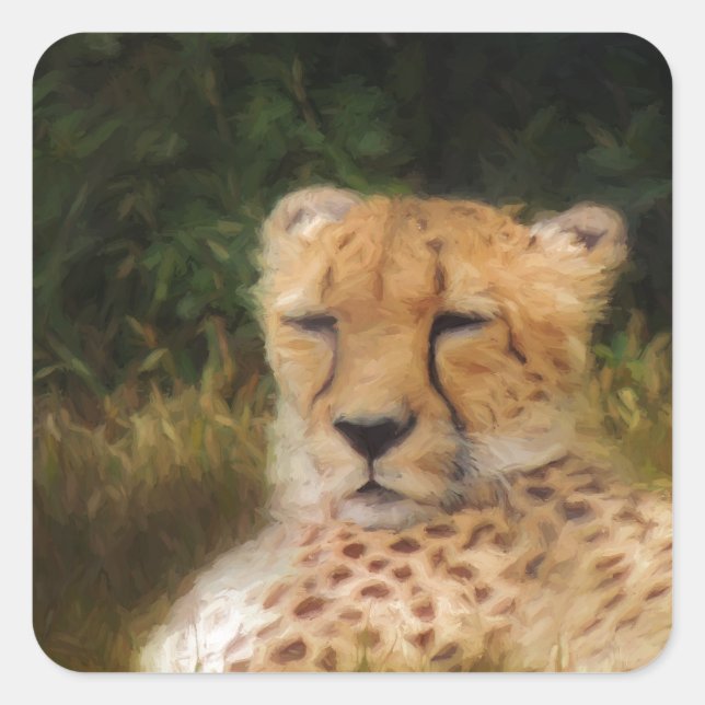 Sticker Carré Recenser Cheetah au Fossil Rim Wildlife Centre (Devant)