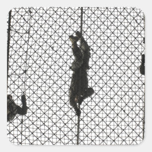 Sticker Carré recrues accomplissant un obstacle