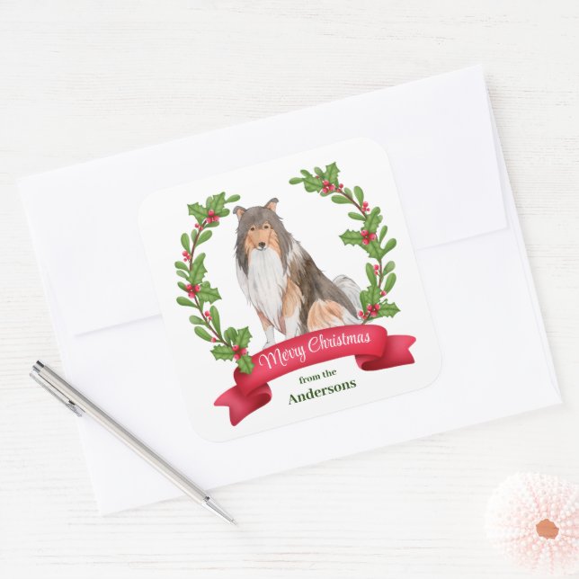 Sticker Carré Red Berry Holly Banner Collie Chien Noël (Enveloppe)