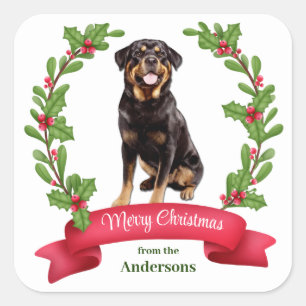 Sticker Carré Red Berry Holly Banner Rottweiler Chien Noël