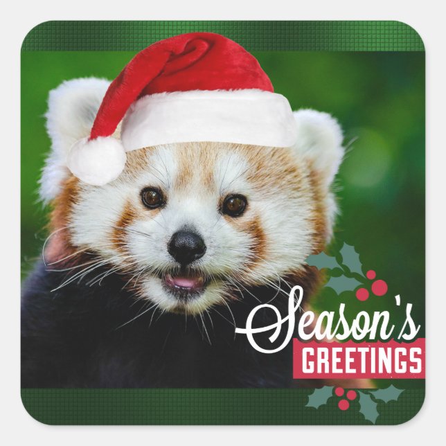 Sticker Carré Red Panda Père Noël (Devant)