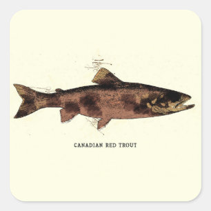 Sticker Carré Red Trout Québec Art Vintage pour pêcheurs pêcheur
