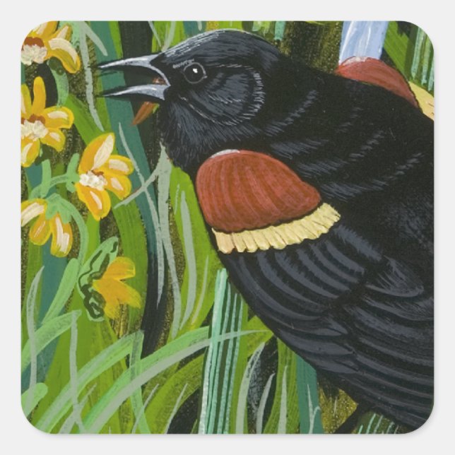 Sticker Carré Red Wing Blackbird (Devant)
