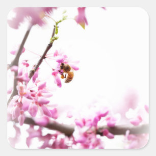 Sticker Carré Redbud & abeille de miel au printemps