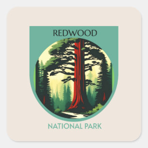 Sticker Carré Redwood National Park Beauty en Californie