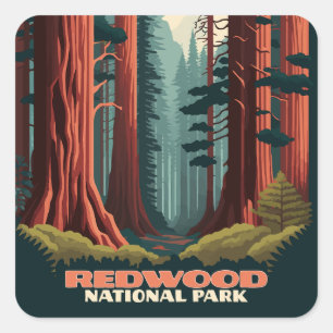 Sticker Carré Redwood National Park Californie Trees