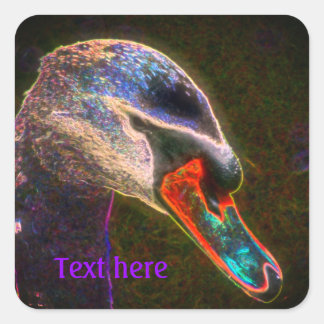 Sticker Carré Regal Swan Art Abstrait Nature Personnalisée