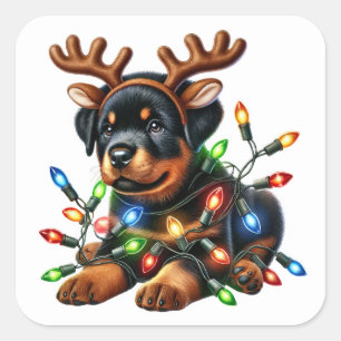 Sticker Carré Reindeer Rottie Sauve Noël !