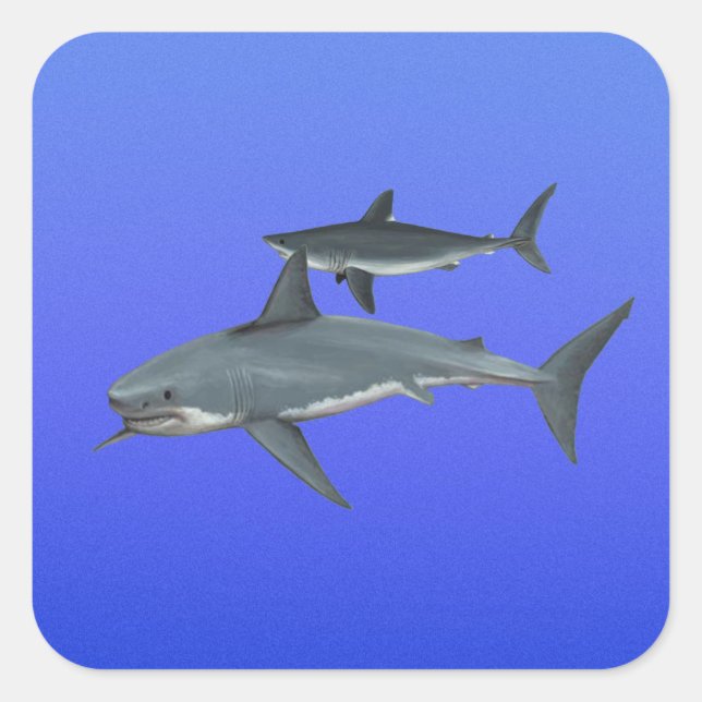 Sticker Carré Requins (Devant)