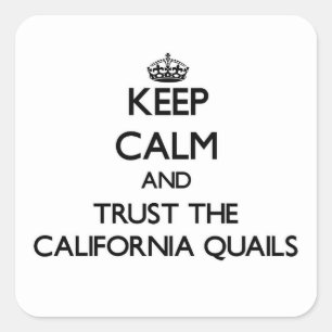 Sticker Carré Restez calme et faites confiance aux California Qu