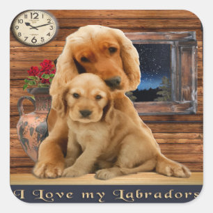 Sticker Carré Retriever du Labrador