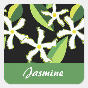 Sticker Carré Rétro motif abstrait floral de jasmin