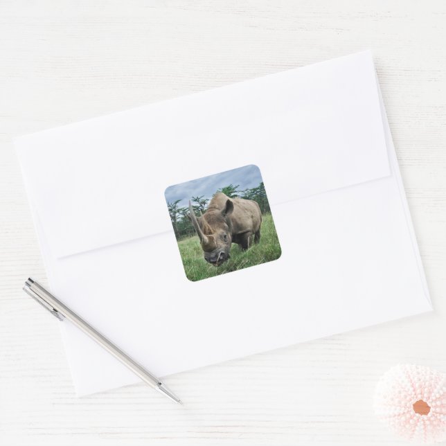 Sticker Carré Rhinocéros noir | Kenya (Enveloppe)
