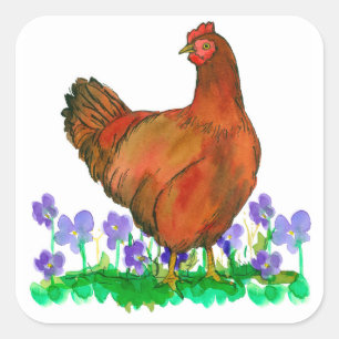 Sticker Carré Rhode Island Red Chicken Aquarelle Violettes