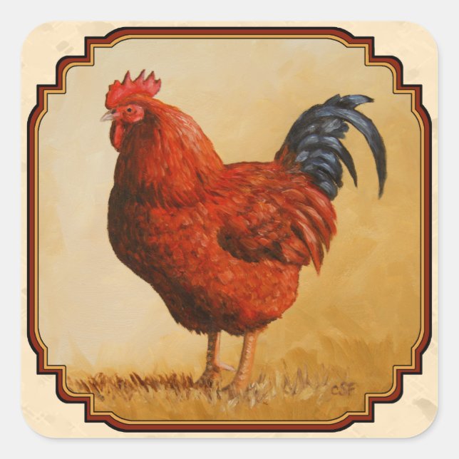 Sticker Carré Rhode Island Rouge poulet Beige (Devant)