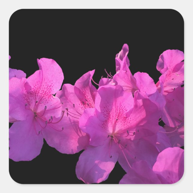 Sticker Carré Rhododendron (Devant)