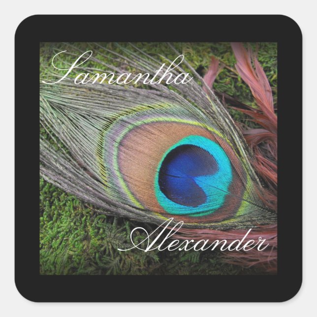 Sticker Carré Rich Peacock Feed avec mousse verte (Devant)