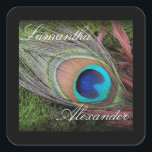 Sticker Carré Rich Peacock Feed avec mousse verte<br><div class="desc">Le design riche en plumes de paon présente une photo de gros plan de plume paon turquoise, dorée et verte posée sur un lit de mousse verte et riche. Parfait pour un mariage d'été ou une occasion spéciale. Faire-part de mariage et accessoires correspondants. © 2010 www.CustomInvitesOnline.com Cet article est disponible...</div>
