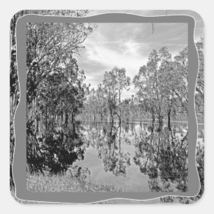 Sticker Carré River Murray Black White Photo Gum Tree réflexion