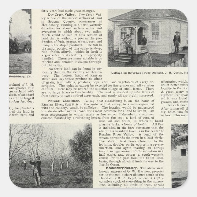 Sticker Carré Riverdale Prune Orchard, Californie (Devant)