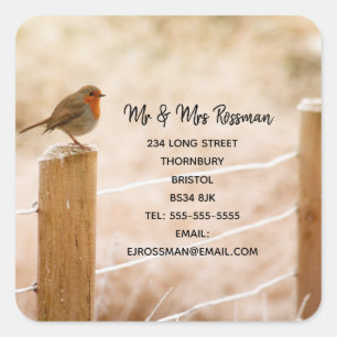 Sticker Carré Robin de Noël Changement d'autocollant d'adresse