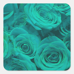 Sticker Carré Romantique élégant turquoise vert rose floral