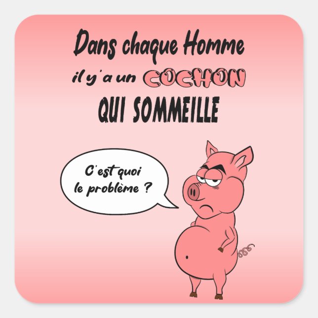 Sticker Carré Ronchon le cochon (Devant)