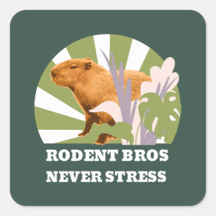 Sticker Carré Rongeurs Frères Ne Stressez Jamais Drôle Capybara