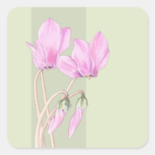 Sticker Carré rose Cyclamens vert
