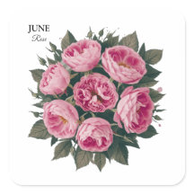 Rose de juin : Fleur d'anniversaire personnalisée