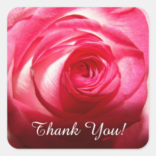 Sticker Carré Rose Merci
