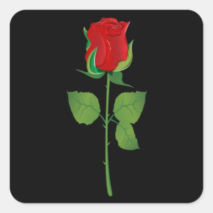 Sticker Carré Rose rouge de longue tige