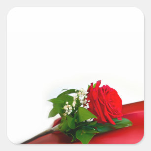 Sticker Carré Rose Rouge Simple – Fond Blanc Floral