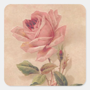 Sticker Carré Rose Victorian