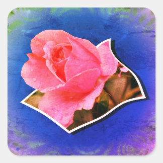 Sticker Carré Rosebud Rose gouttes Pop Out