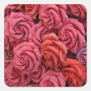 Sticker Carré Roses roses