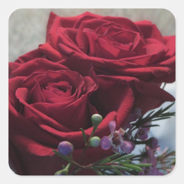Sticker Carré Roses rouges 1a (Devant)