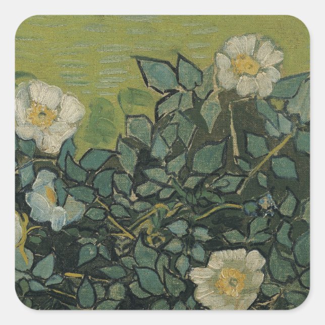 Sticker Carré Roses sauvages par Vincent van Gogh (Devant)